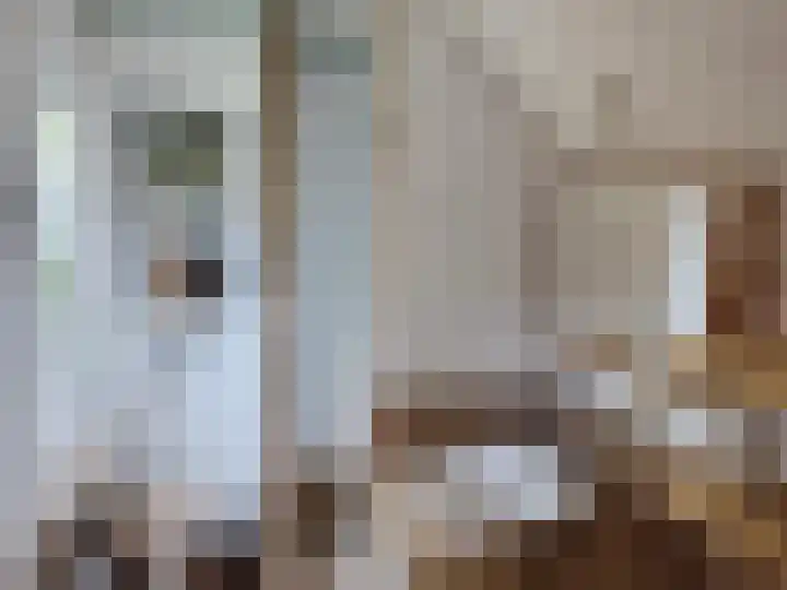 Renderklippenweg 7 Epe thumbnail 18