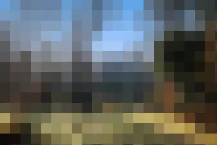 Renderklippenweg 7 Epe foto 2