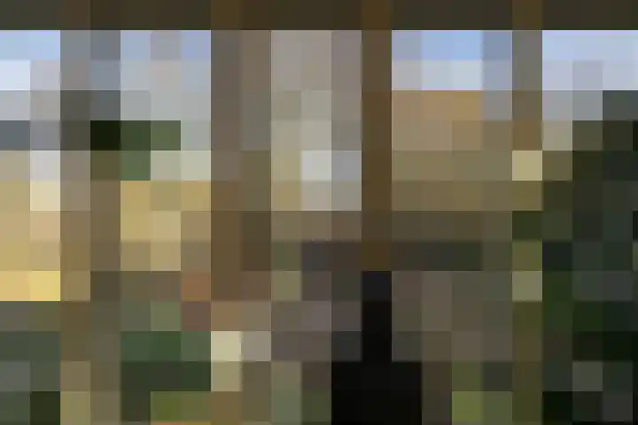 Renderklippenweg 7 Epe thumbnail 21