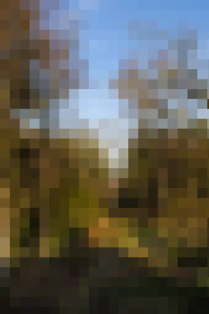 Renderklippenweg 7 Epe thumbnail 24