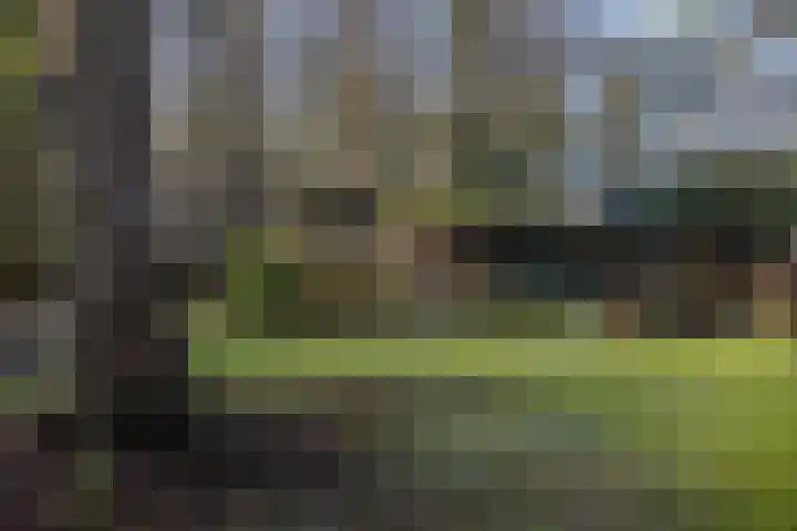 Renderklippenweg 7 Epe thumbnail 31