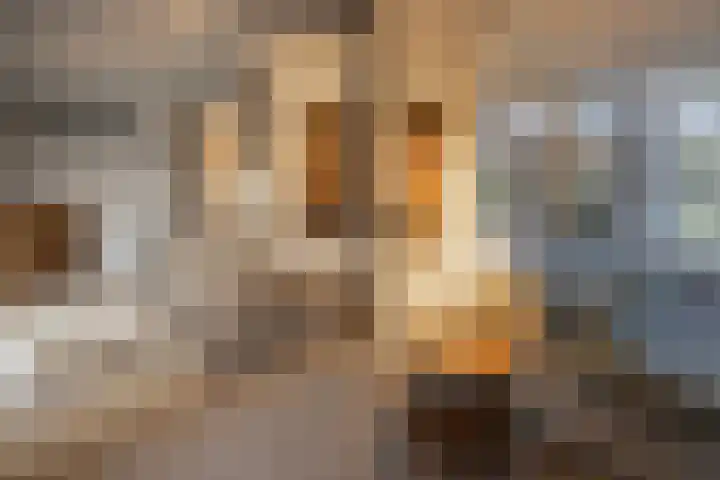 Renderklippenweg 7 Epe thumbnail 32