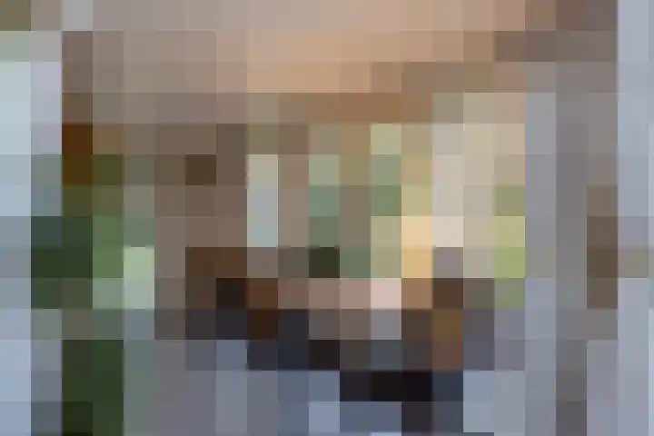 Renderklippenweg 7 Epe thumbnail 33