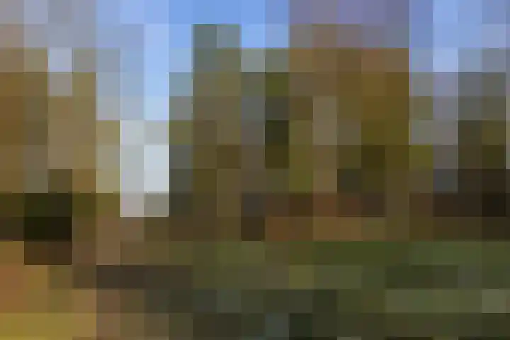 Renderklippenweg 7 Epe thumbnail 38