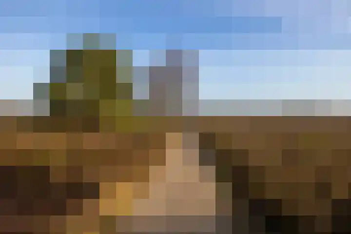 Renderklippenweg 7 Epe thumbnail 39