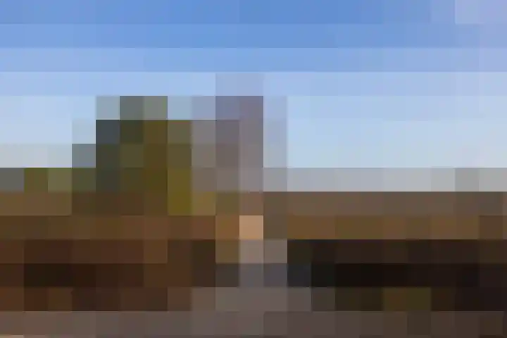 Renderklippenweg 7 Epe thumbnail 4