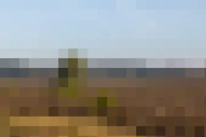 Renderklippenweg 7 Epe thumbnail 40