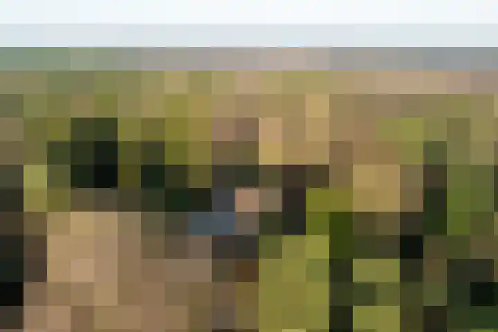Renderklippenweg 7 Epe thumbnail 41