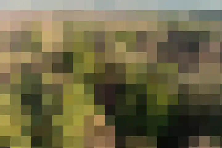 Renderklippenweg 7 Epe thumbnail 42