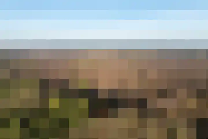 Renderklippenweg 7 Epe thumbnail 43