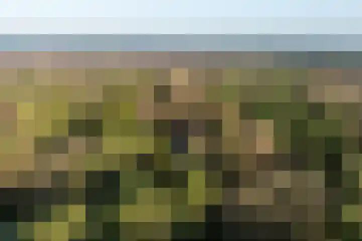 Renderklippenweg 7 Epe thumbnail 44
