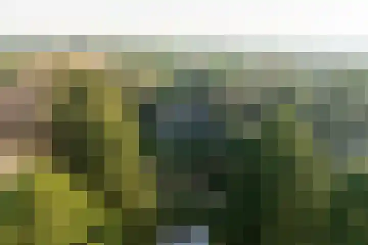 Renderklippenweg 7 Epe thumbnail 45
