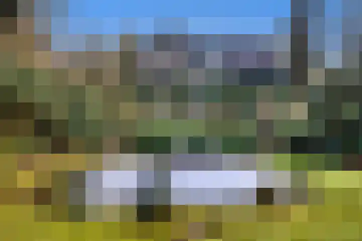 Renderklippenweg 7 Epe thumbnail 5