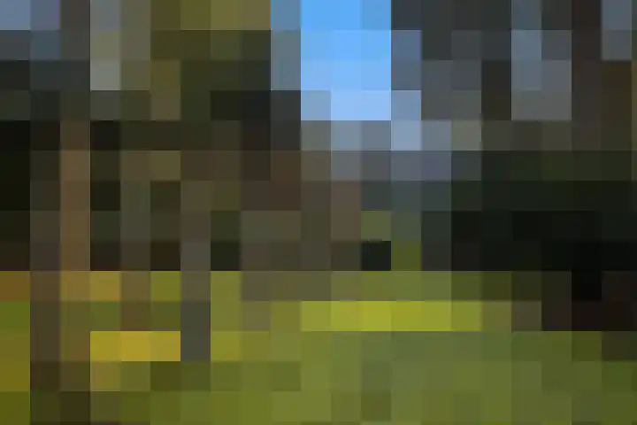 Renderklippenweg 7 Epe thumbnail 6