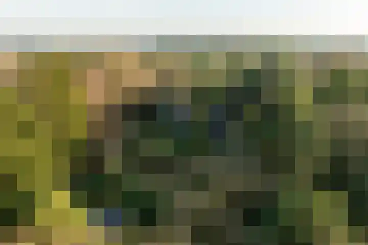 Renderklippenweg 7 Epe thumbnail 7