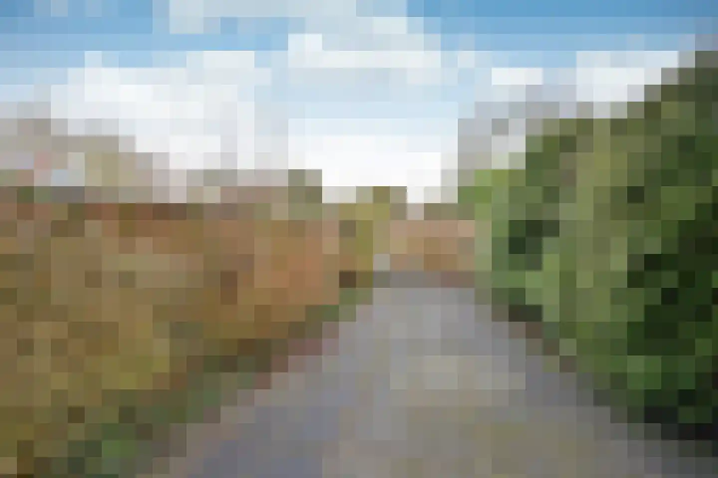 Rendier 47 Huizen thumbnail 14