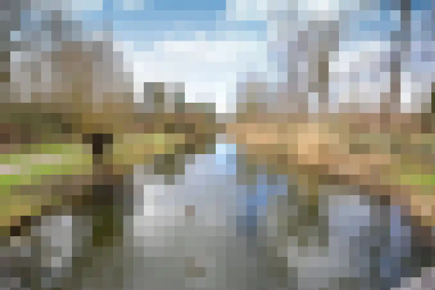 Rendier 47 Huizen thumbnail 16