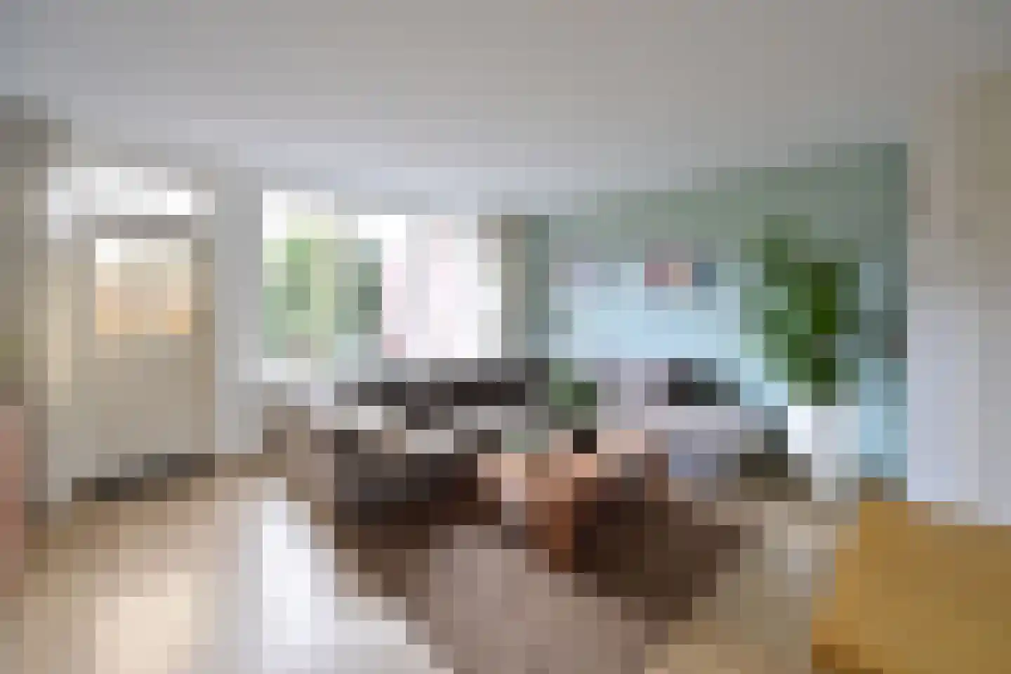 Rendier 47 Huizen thumbnail 4