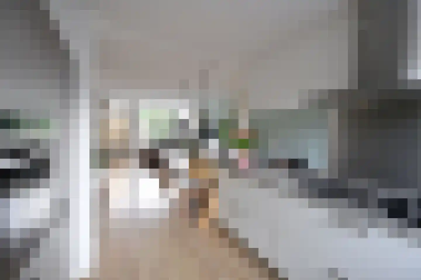 Rendier 47 Huizen thumbnail 5