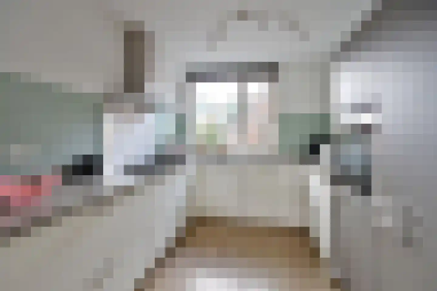 Rendier 47 Huizen thumbnail 6