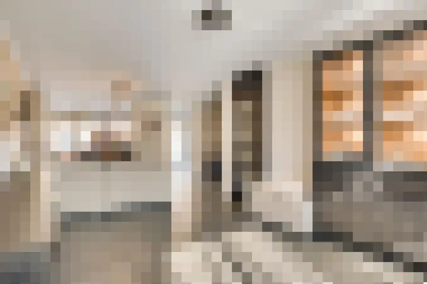 Rendierenlaan 12 Nederweert-Eind thumbnail 14