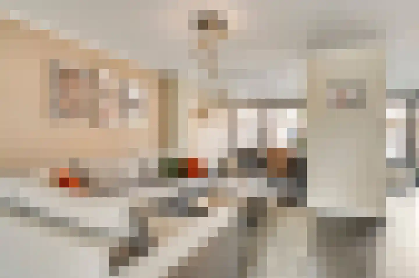 Rendierenlaan 12 Nederweert-Eind thumbnail 15