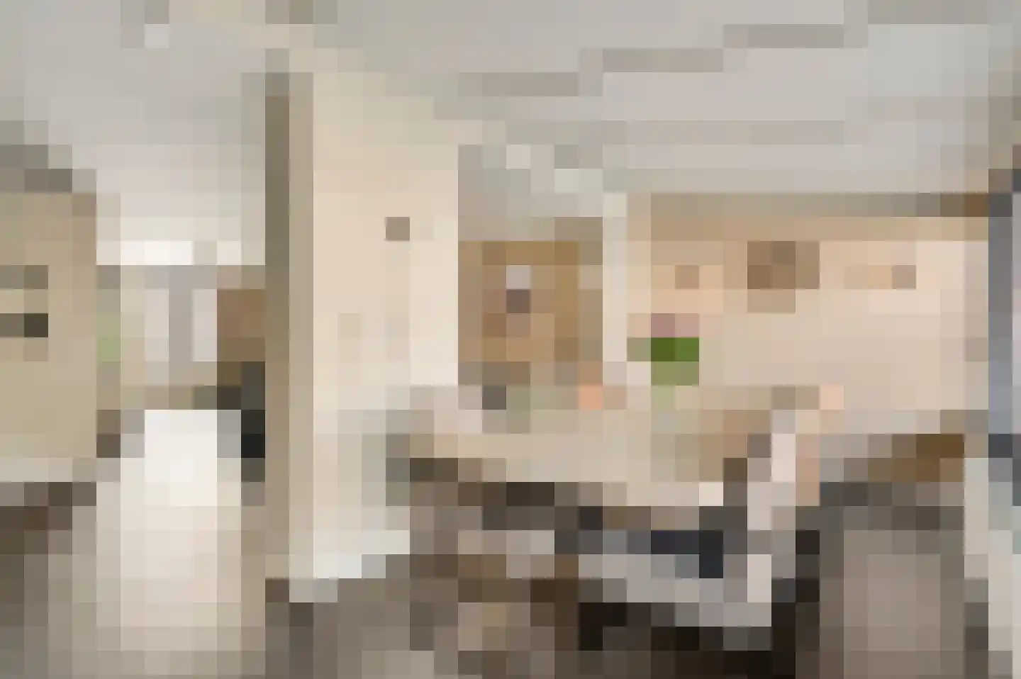 Rendierenlaan 12 Nederweert-Eind thumbnail 17