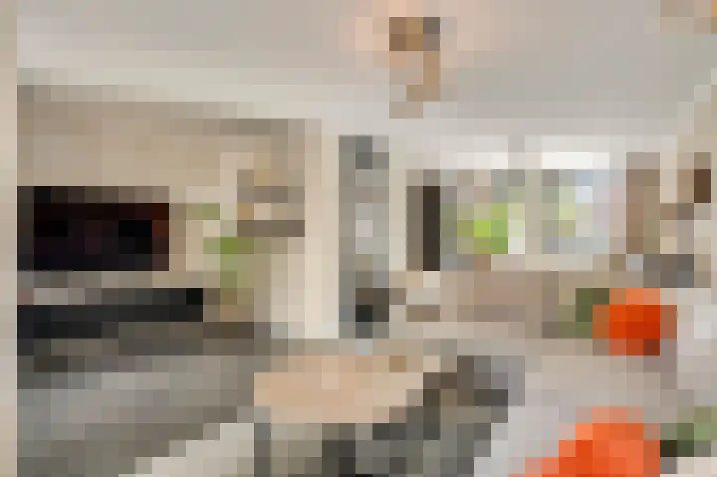 Rendierenlaan 12 Nederweert-Eind thumbnail 18