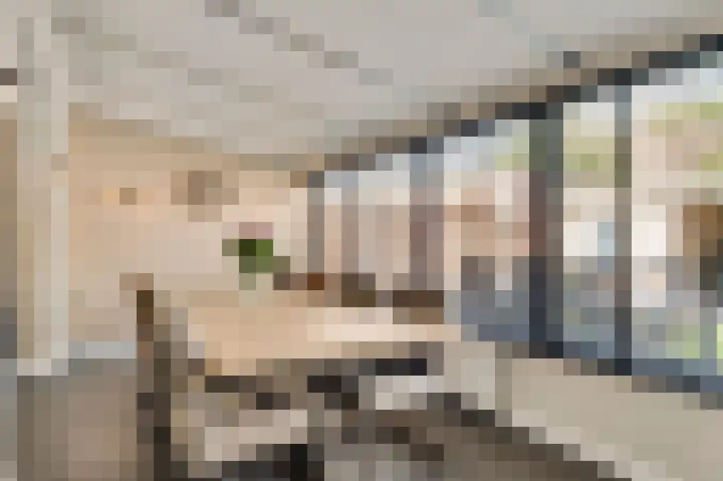 Rendierenlaan 12 Nederweert-Eind thumbnail 19