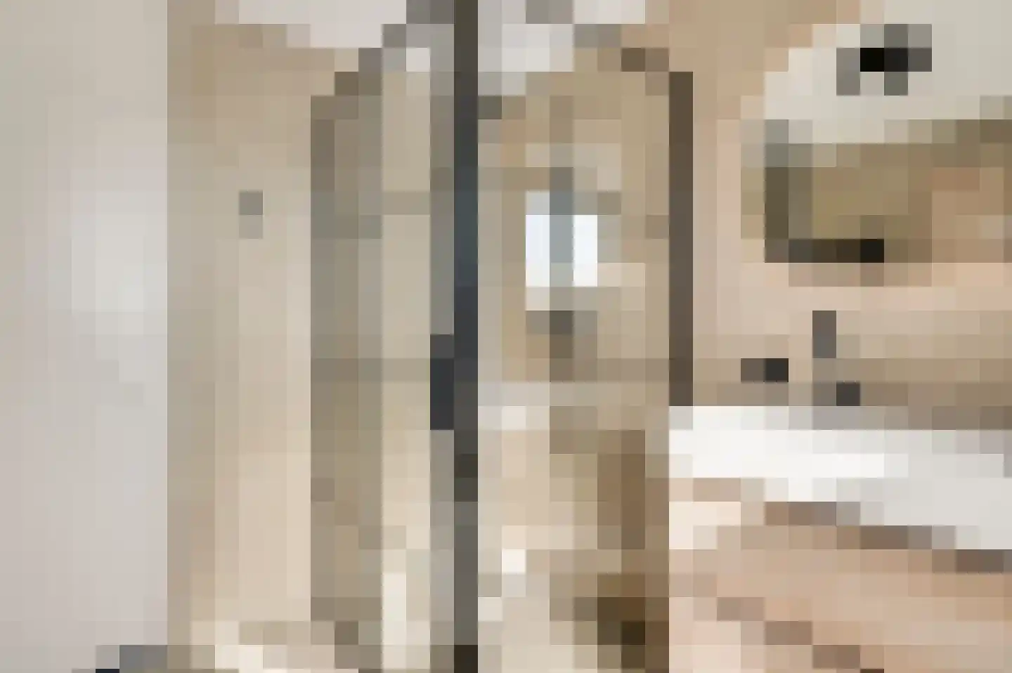 Rendierenlaan 12 Nederweert-Eind thumbnail 29
