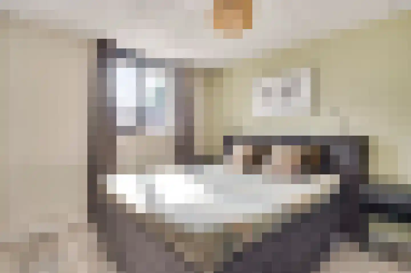 Rendierenlaan 12 Nederweert-Eind thumbnail 30