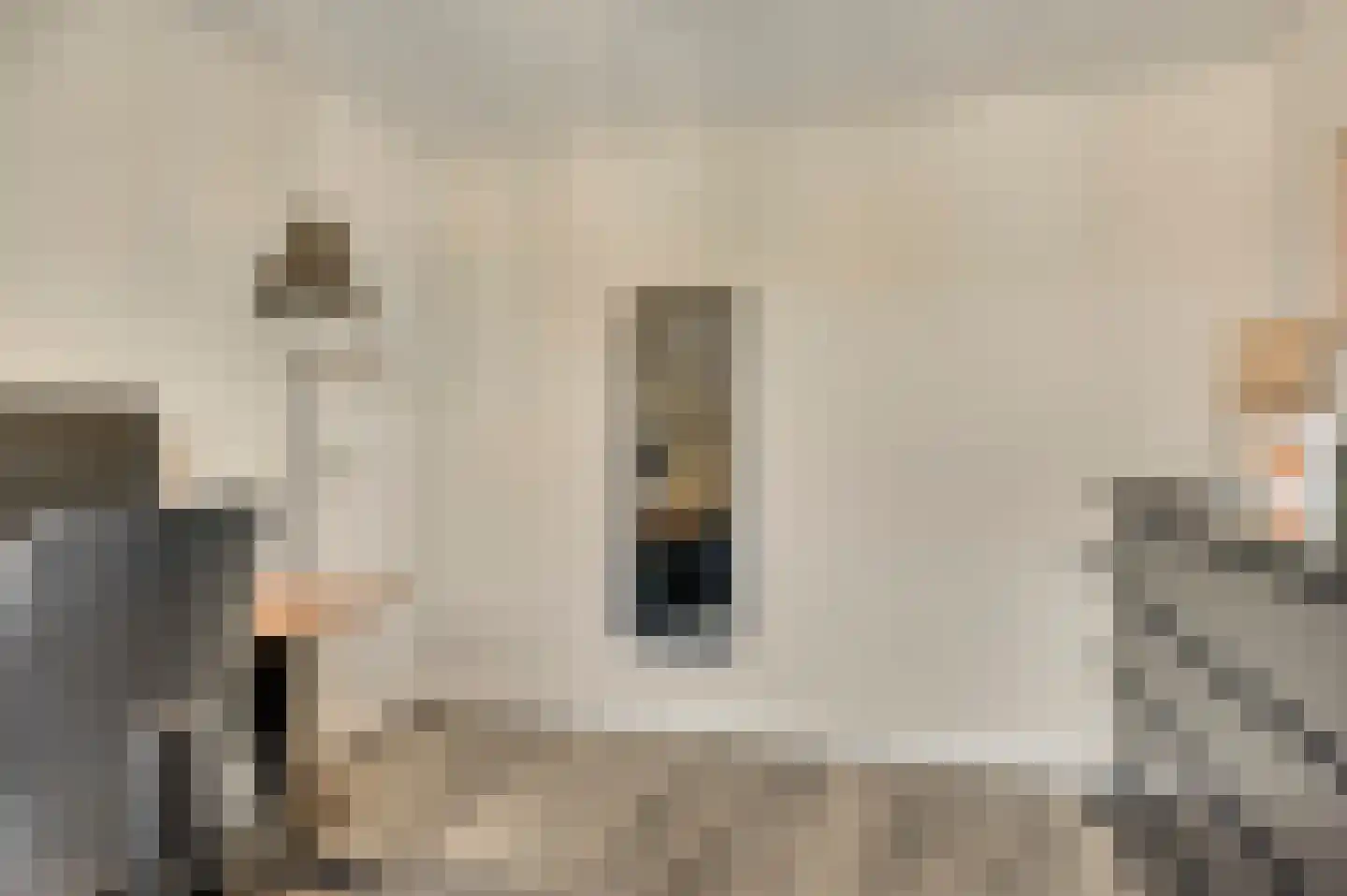 Rendierenlaan 12 Nederweert-Eind thumbnail 34