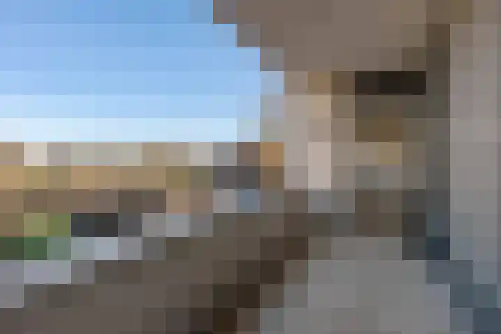 Rendierhei 27 Best thumbnail 14