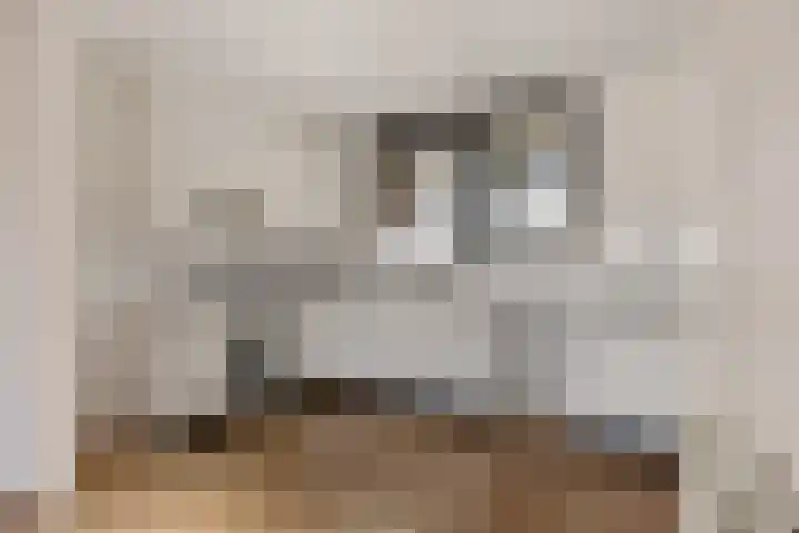 Rendierhei 27 Best thumbnail 15