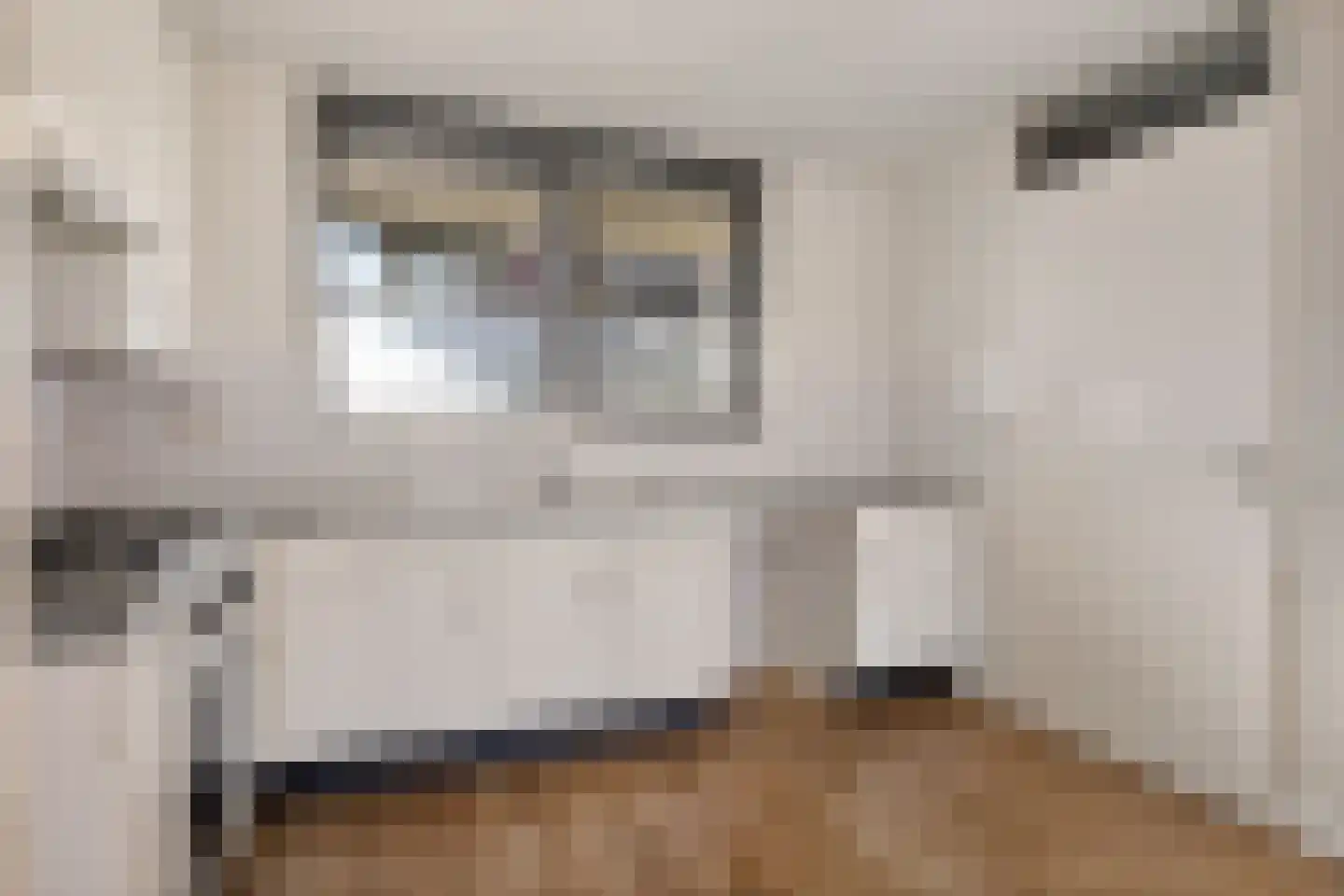 Rendierhei 27 Best thumbnail 19