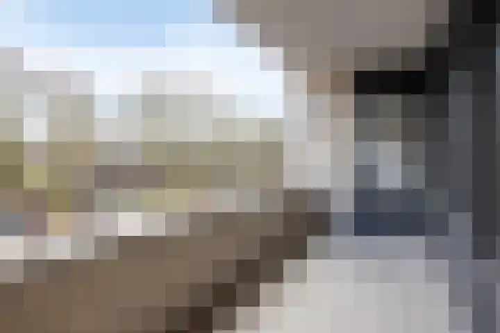 Rendierhei 47 Best thumbnail 14