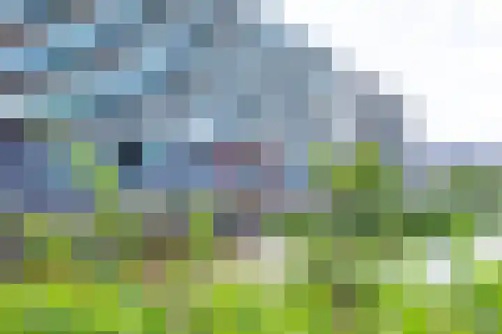 Rendierhei 81 Best thumbnail 10