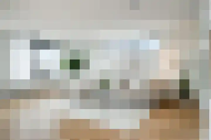 Rendierhei 81 Best thumbnail 10