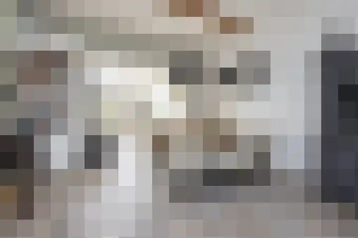 Rendierhei 81 Best thumbnail 14
