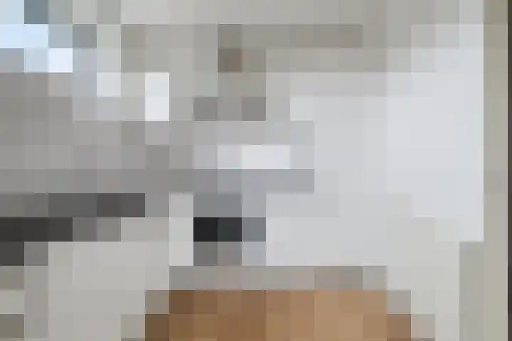 Rendierhei 81 Best thumbnail 14