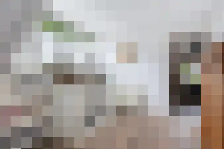 Rendierhei 81 Best thumbnail 30