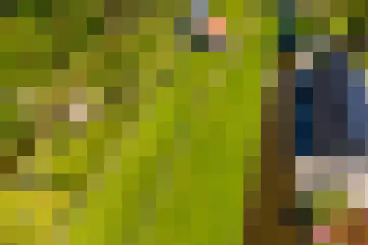 Rendierhei 81 Best thumbnail 5