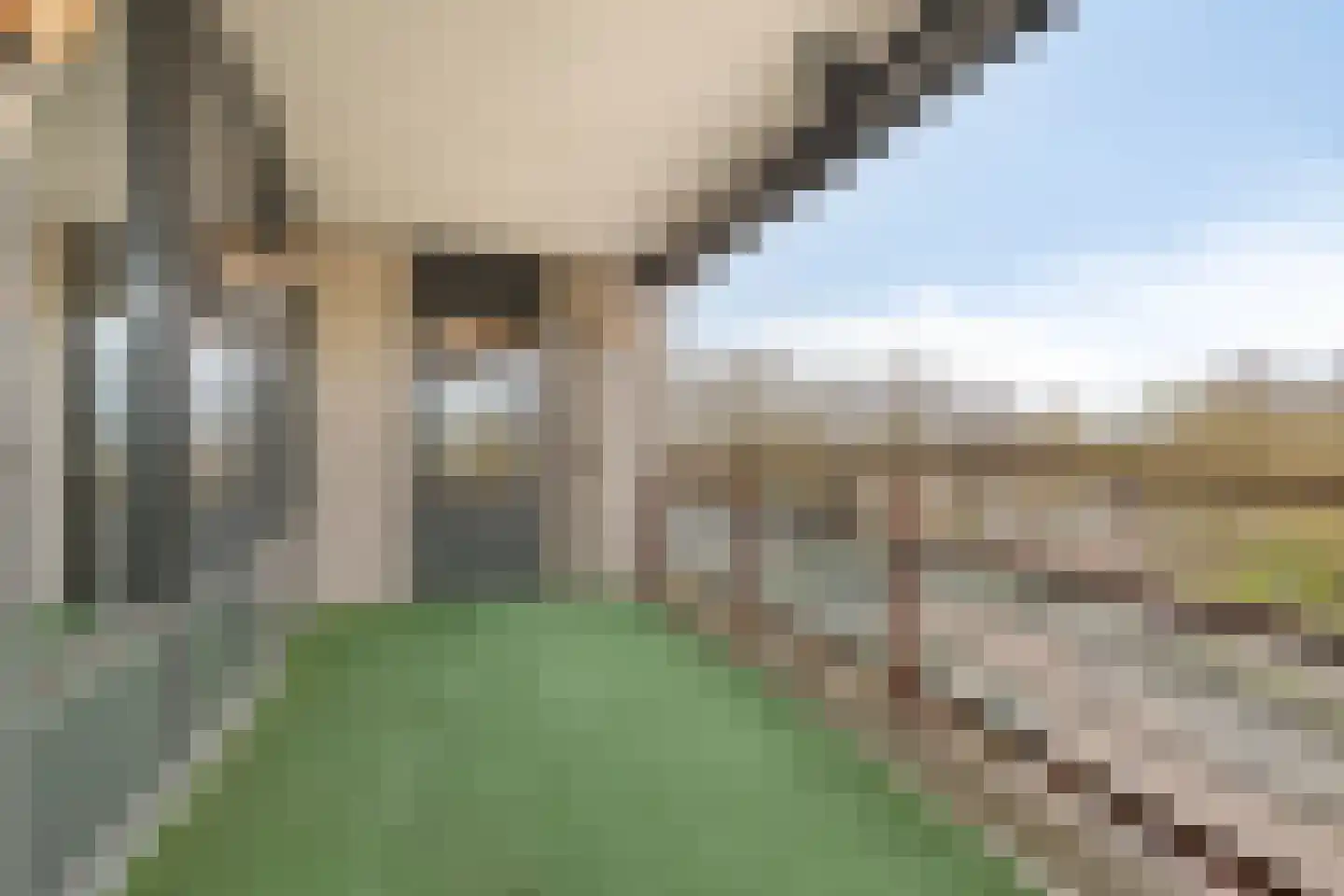 Rendierhei 95 Best thumbnail 18