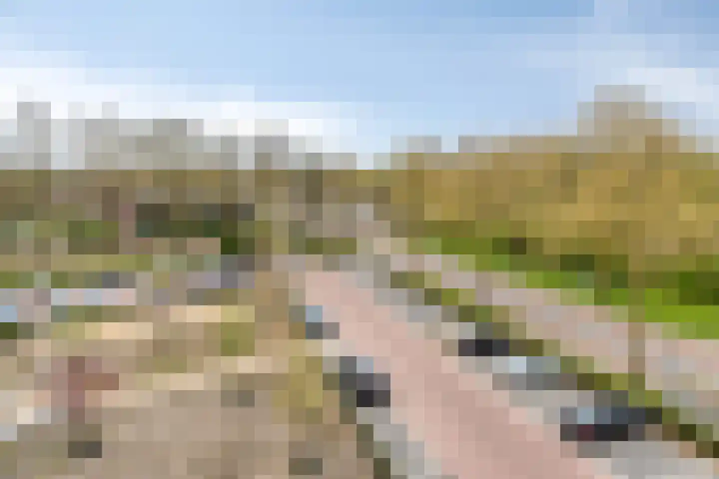 Rendierhei 95 Best thumbnail 19