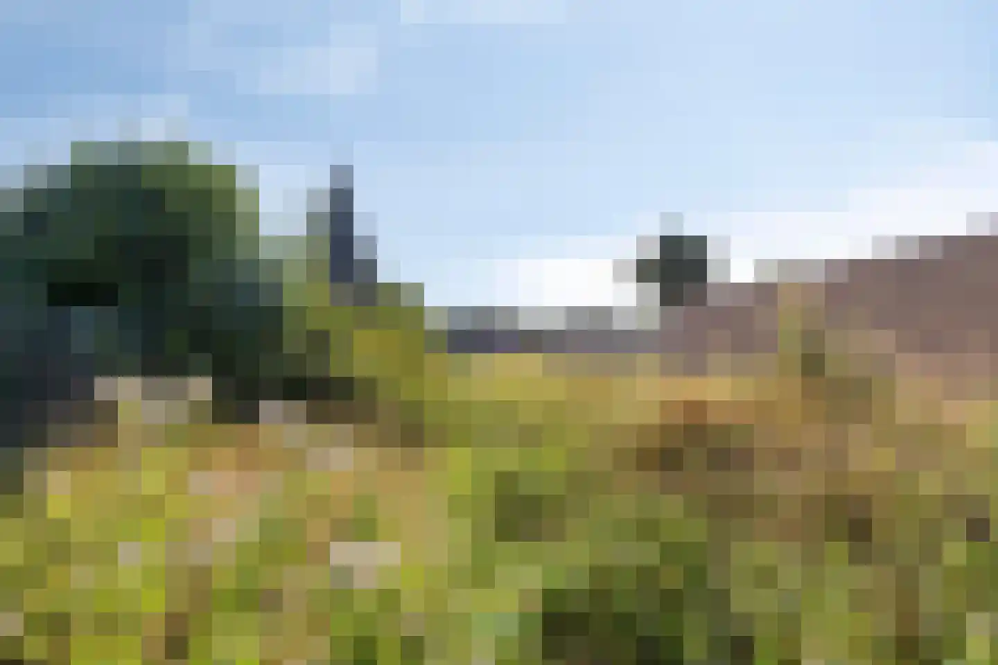 Rendierlaan 21 Helmond thumbnail 34