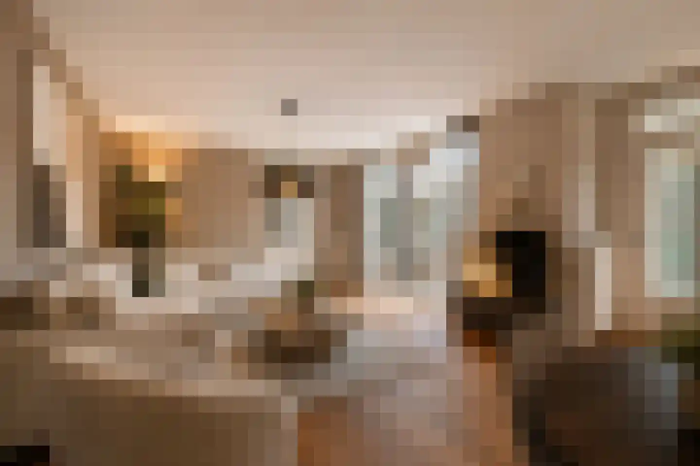 Rendierlaan 21 Helmond thumbnail 8