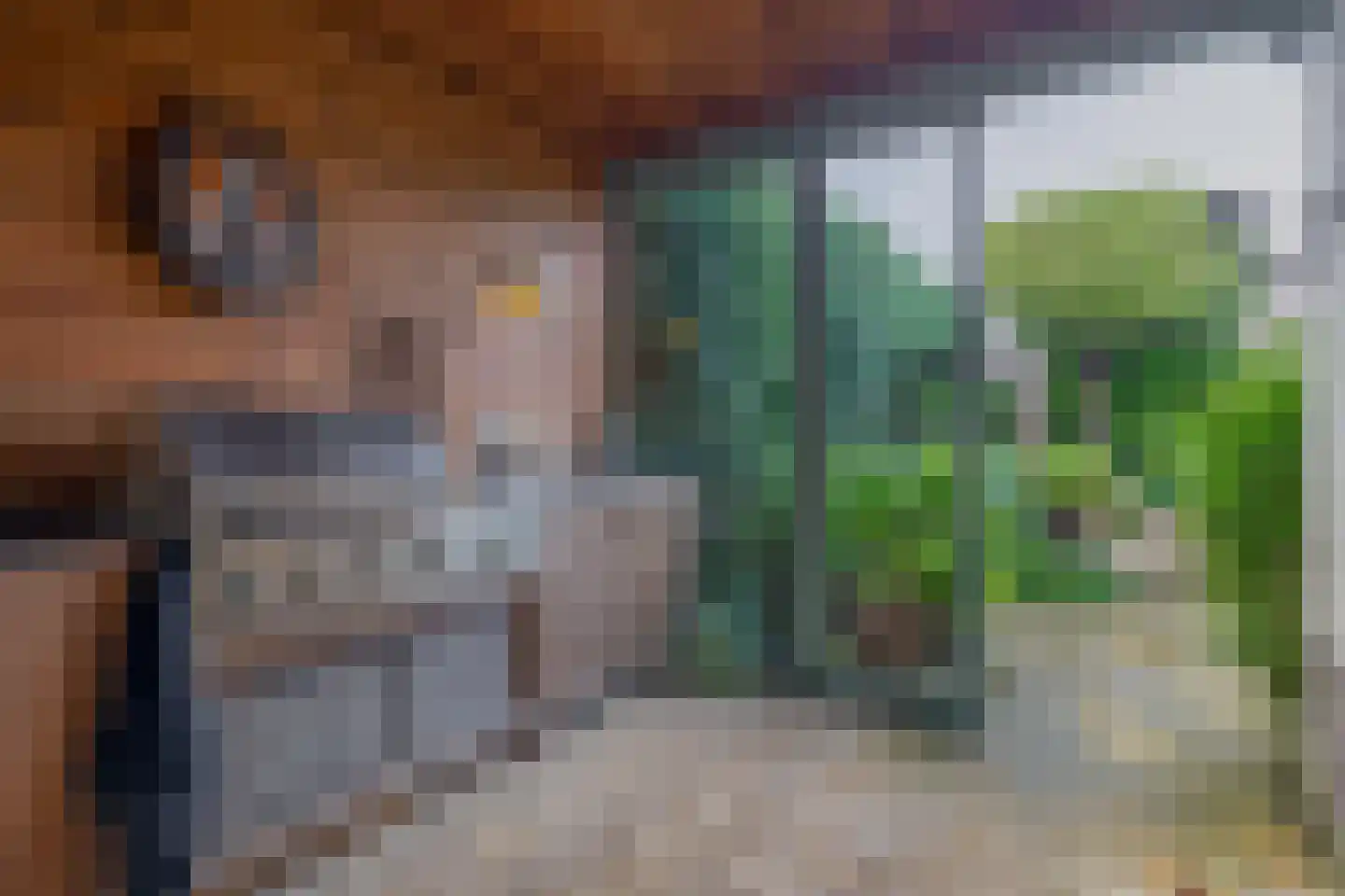 Rendierlaan 27 Helmond thumbnail 23