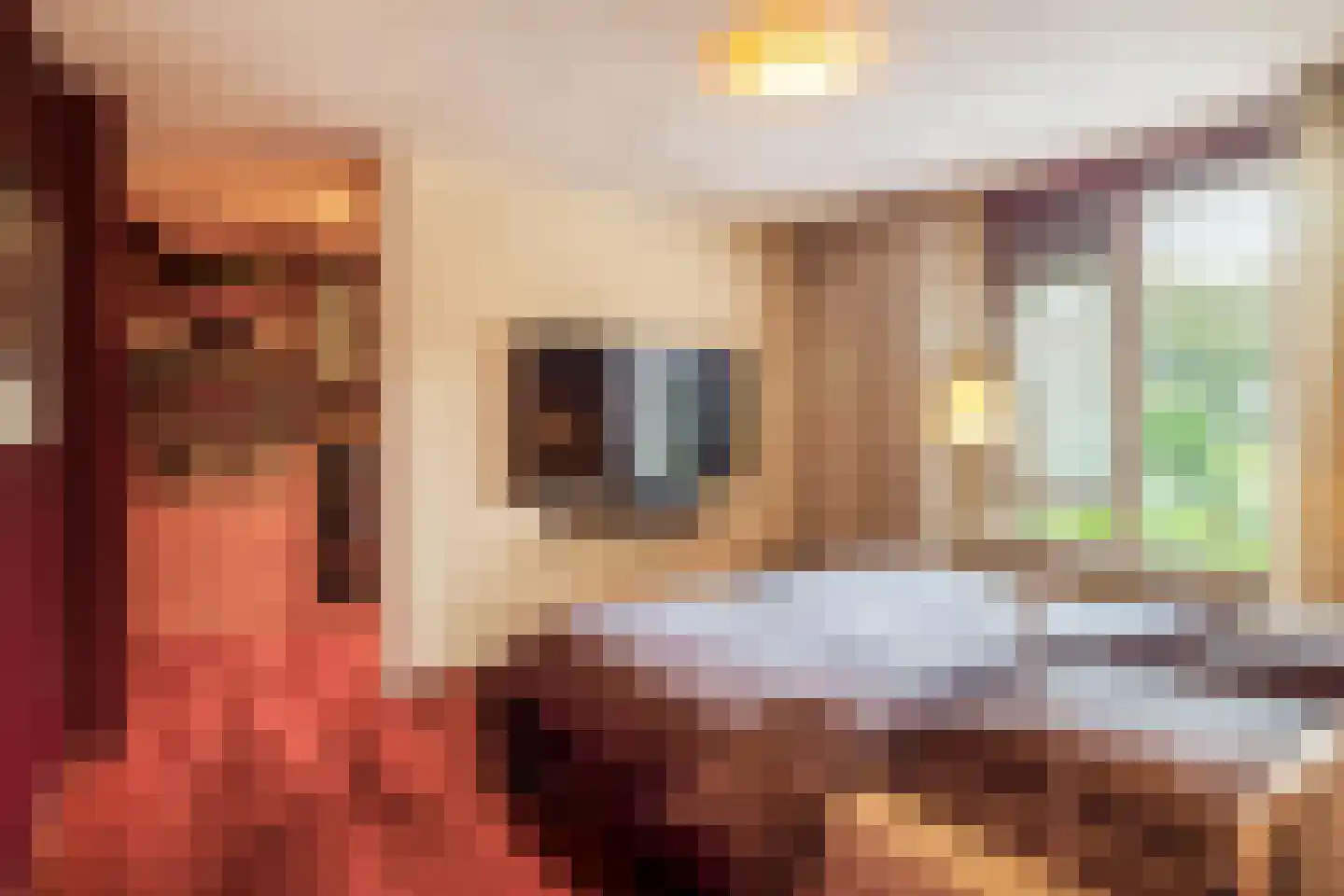 Rendierlaan 28 Helmond thumbnail 19