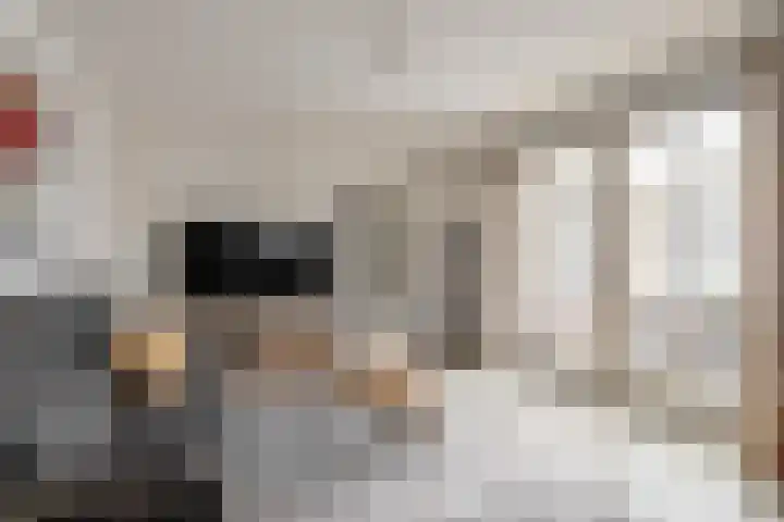 Rendierlaan 6 Helmond thumbnail 16