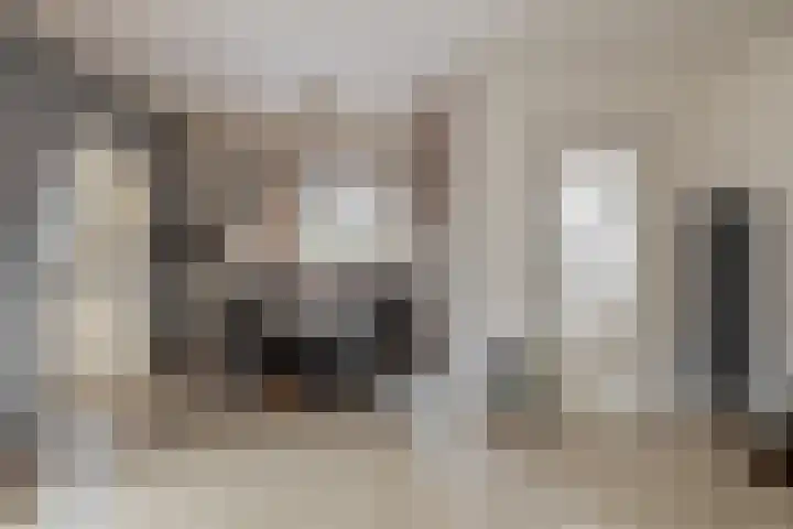 Rendierlaan 6 Helmond thumbnail 18